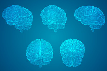 我能照样子写词语还能选一个词语写一句话