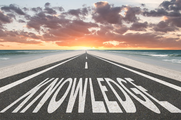 简述对幼儿园孩子进行海姆立克急救法的基本操作电大