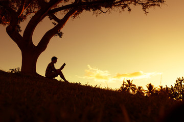 小学语文核心素养的四个维度是什么？