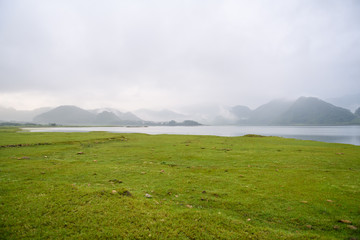 小学语文核心素养的四个维度是什么？