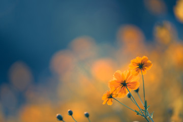 保护地球手抄报简单漂亮精选8张