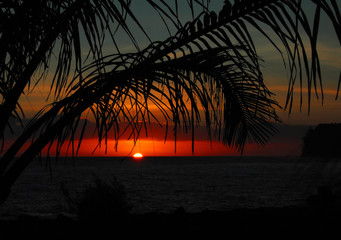 张贞观文言文阅读