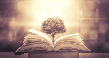 小学语文核心素养的四个维度是什么？