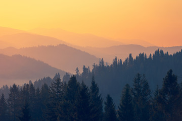 求因为好奇心而发明出东西的科学家