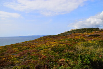 简单掌握六大类茶叶的冲泡方法