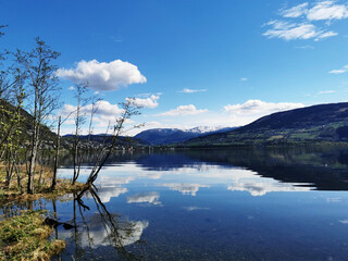 张贞观文言文阅读