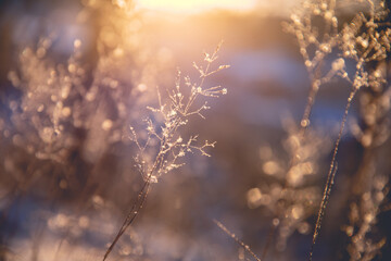想做好一个食品的区域经理需要什么