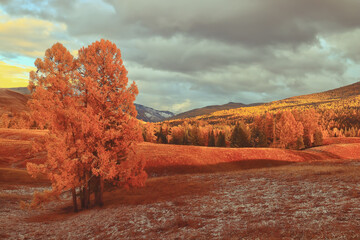 简述对幼儿园孩子进行海姆立克急救法的基本操作电大