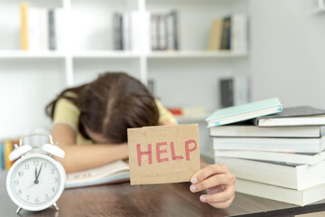 小学语文核心素养的四个维度是什么？