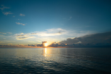 辟邪旺宅旺财植物花卉