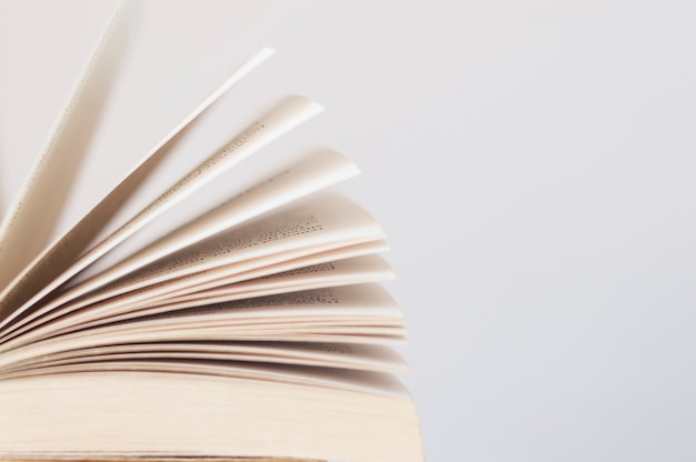 张贞观文言文阅读