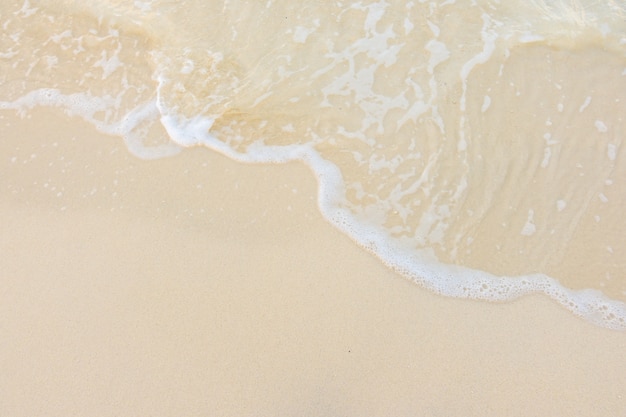 求因为好奇心而发明出东西的科学家