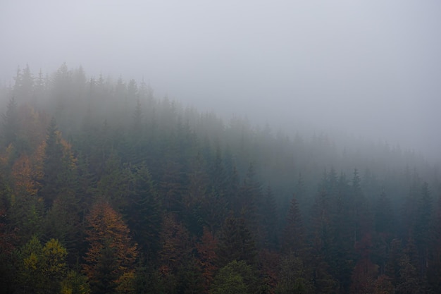 张贞观文言文阅读