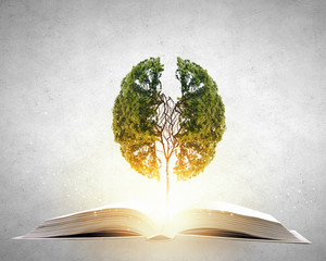 中国古代科举制度