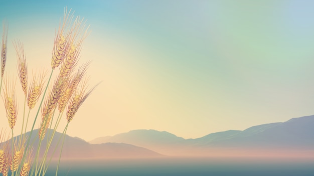 如何做自己的微信小程序(如何做自己的小程序)