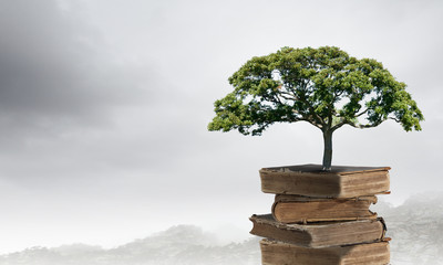 想做好一个食品的区域经理需要什么