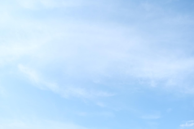 我能照样子写词语还能选一个词语写一句话