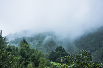 中国古代科举制度